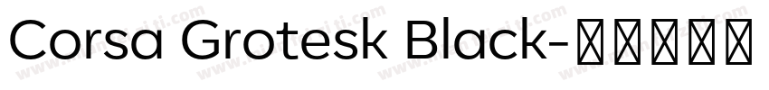 Corsa Grotesk Black字体转换